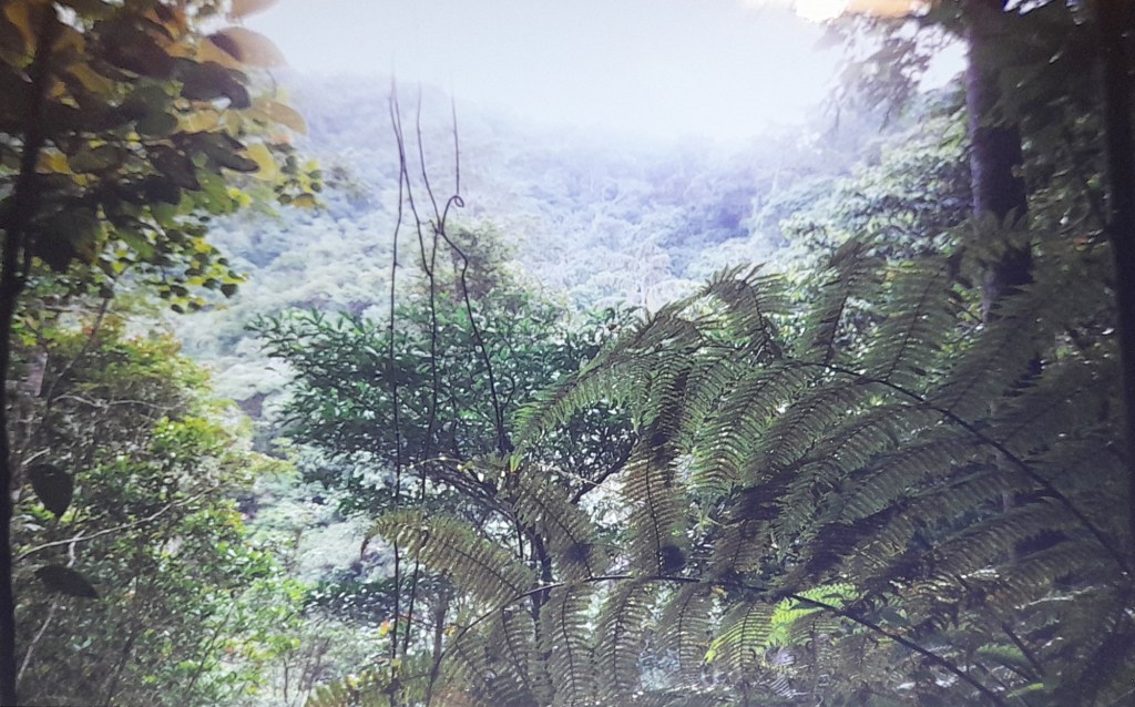 1999: Lost in the Cameron Highlands&nbsp;(Malaysia)